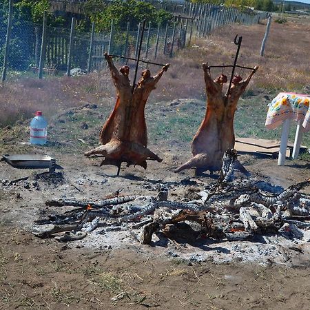 Cabanas Capitan Guillermo Punta Arenas Bagian luar foto